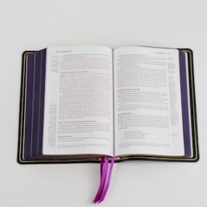 Vegetarian Recipe Book